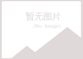 坊子区山柳工程有限公司